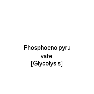 Phosphoenolpyruvate [Glycolysis]